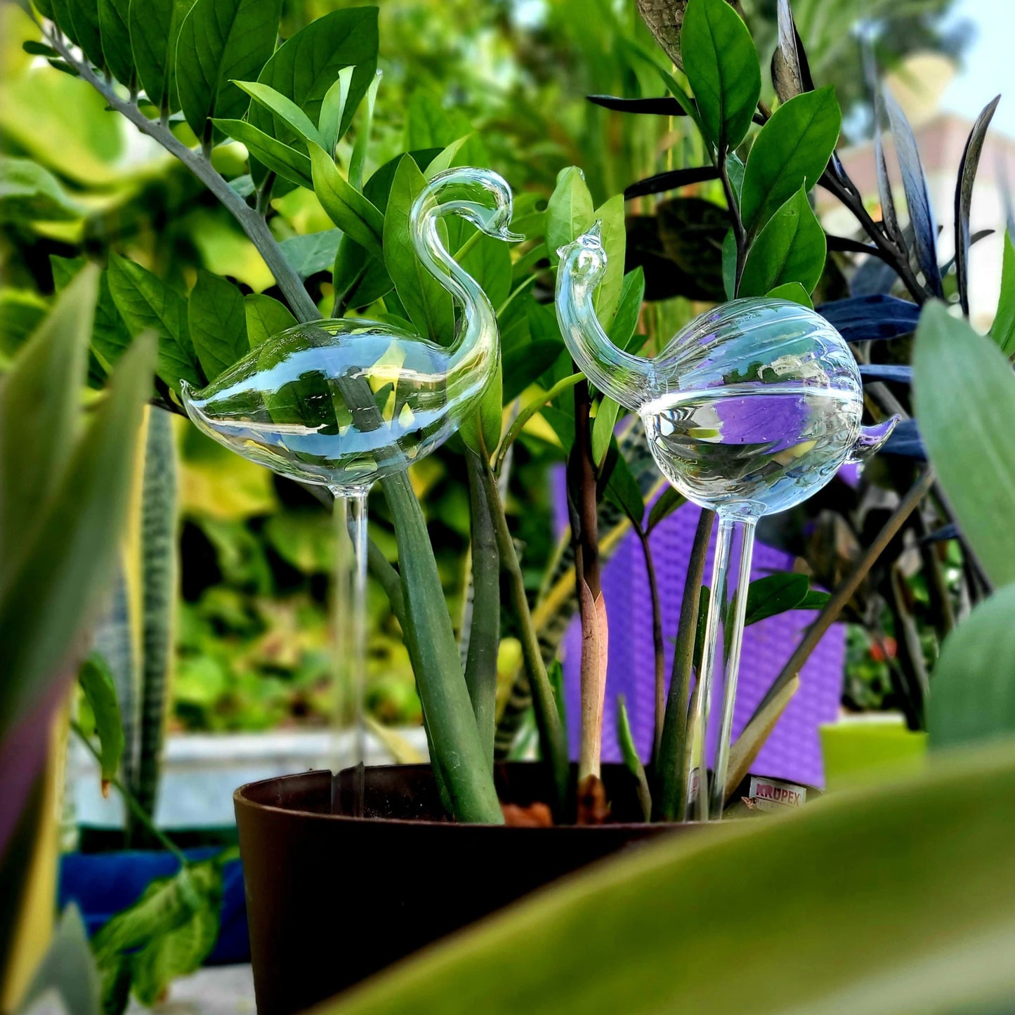 Swan Shape Self Watering  Glass Globe