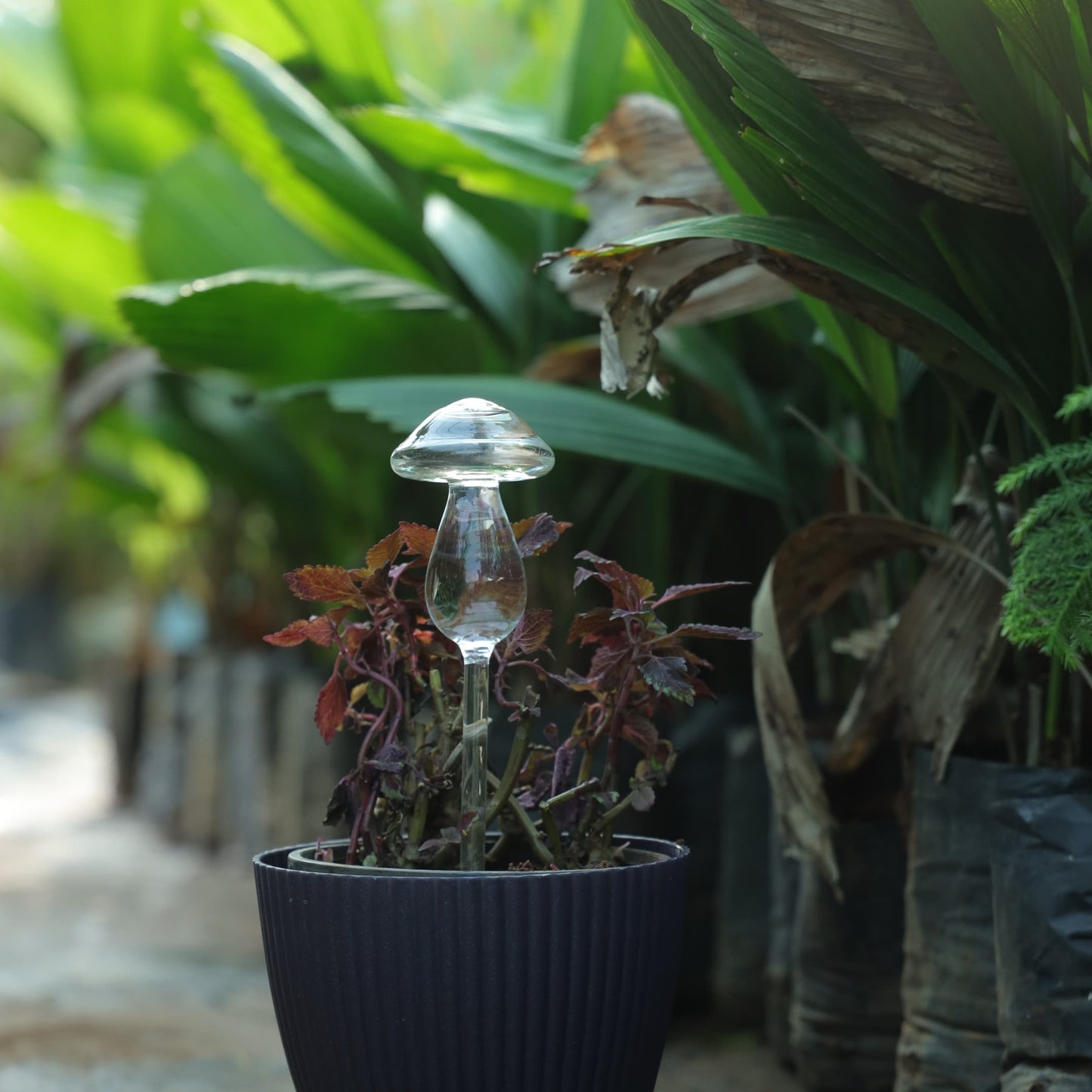 Mushroom Shape Self Watering Glass Bulb