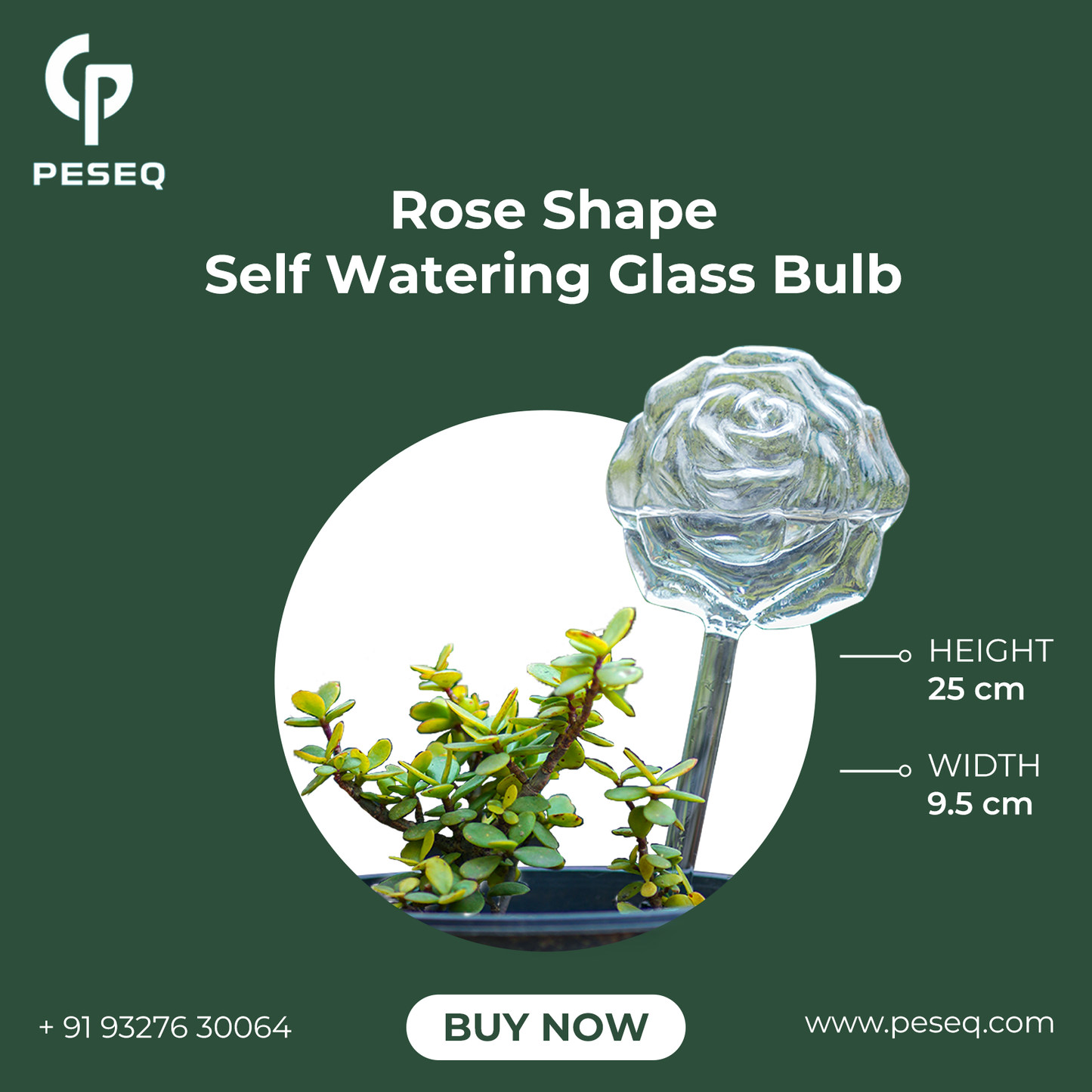 Rose Shape Self Watering Glass Bulb